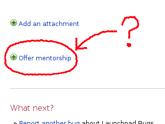 Partial screen capture of a page showing mentoring